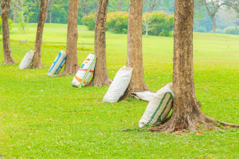 Improved Tree Health